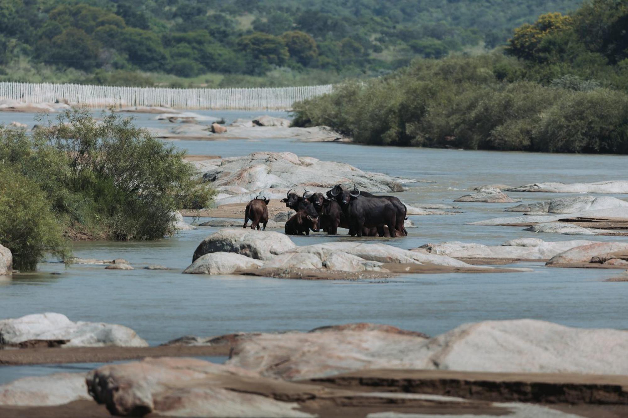 Zulu Rock Lodge - Babanango Game Reserve Ulundi Extérieur photo