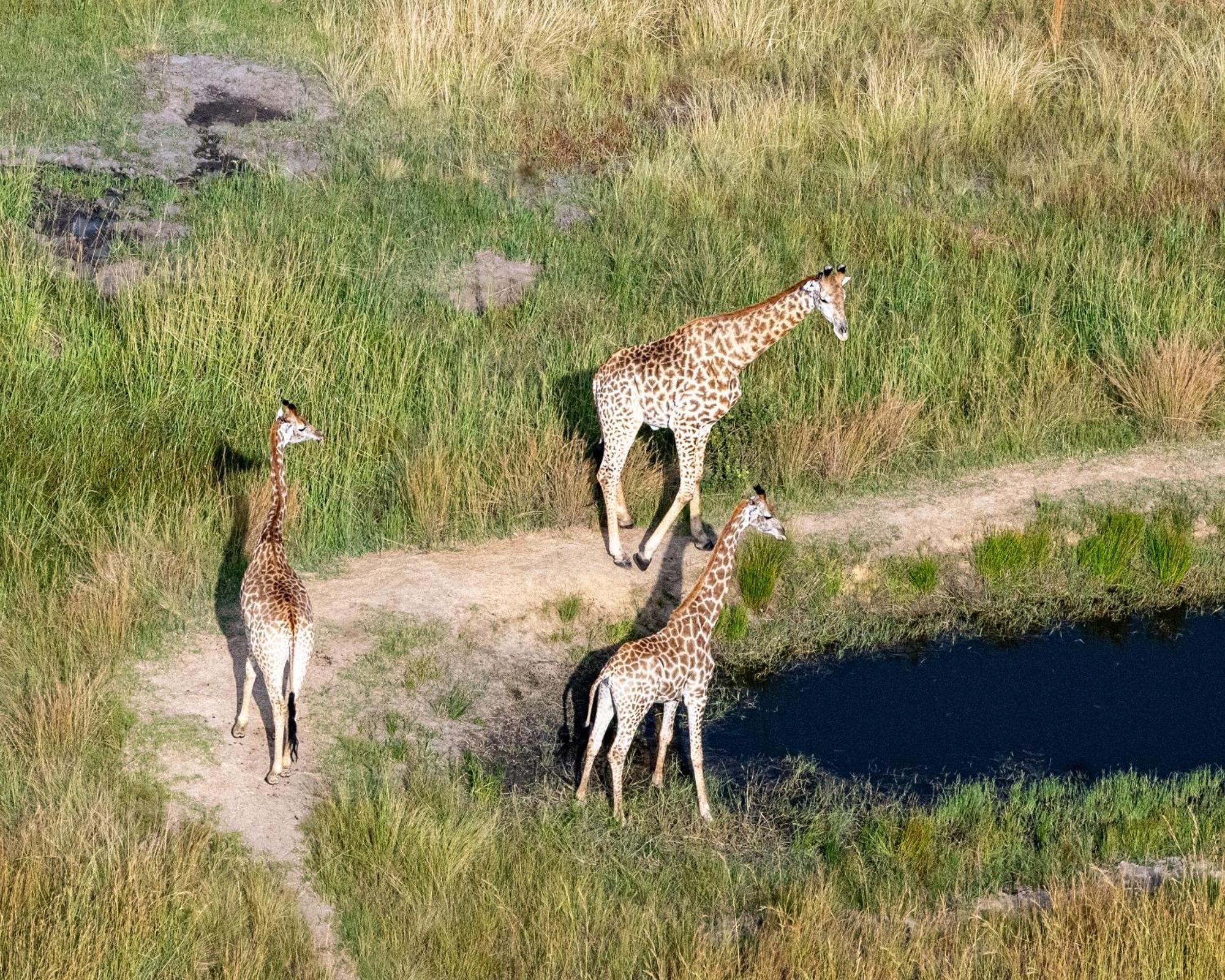 Zulu Rock Lodge - Babanango Game Reserve Ulundi Extérieur photo