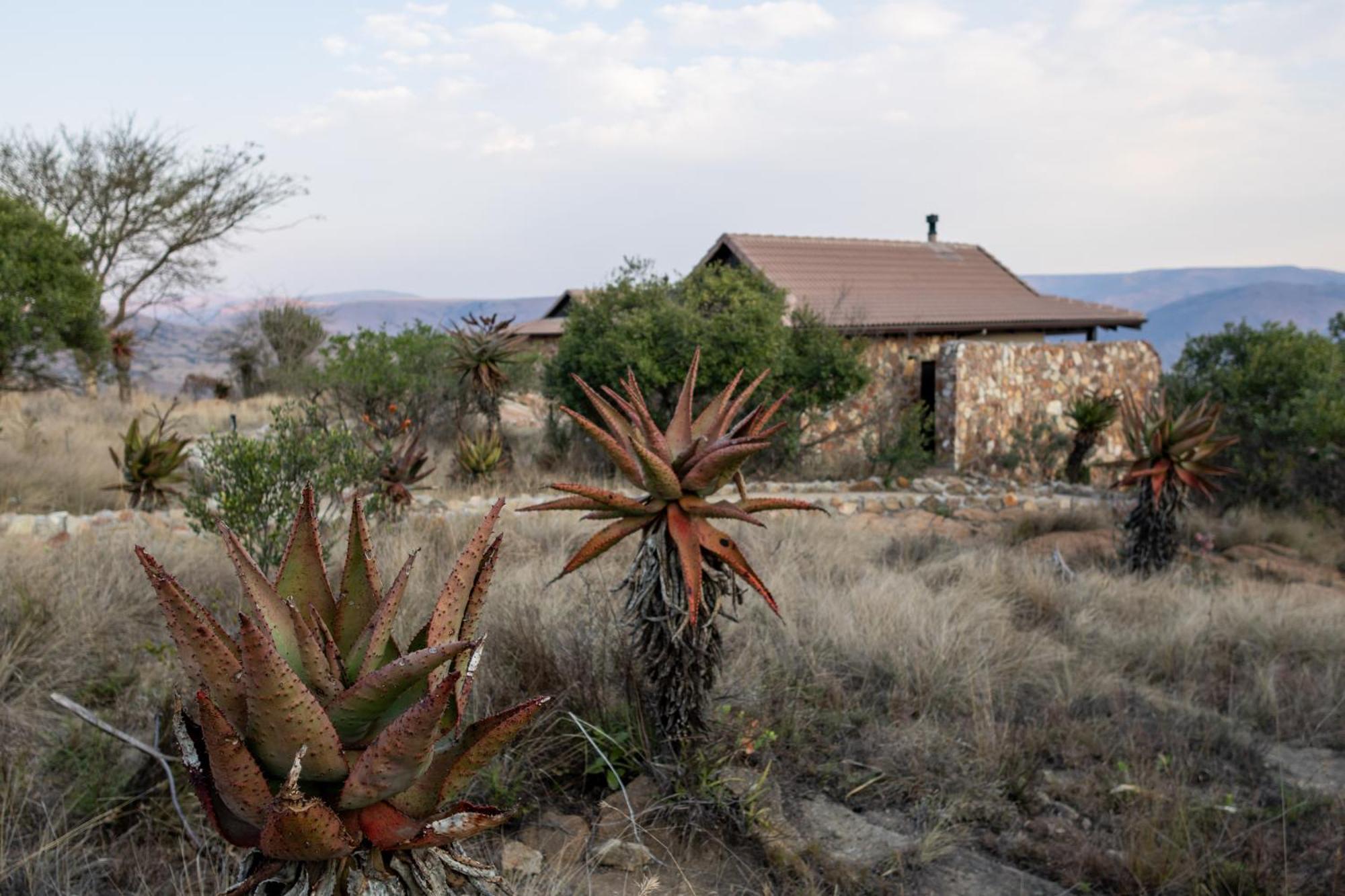 Zulu Rock Lodge - Babanango Game Reserve Ulundi Extérieur photo